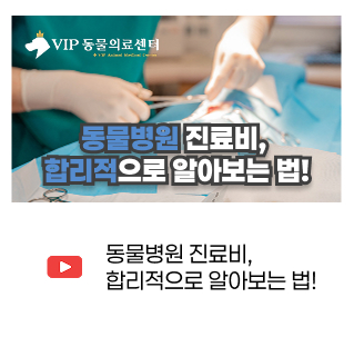유튜브 썸네일 1