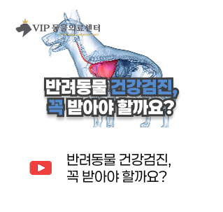 유튜브 썸네일 2