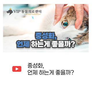 유튜브 썸네일 3