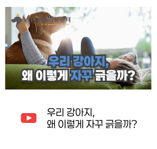 유튜브 썸네일 4