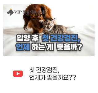 유튜브 썸네일 5